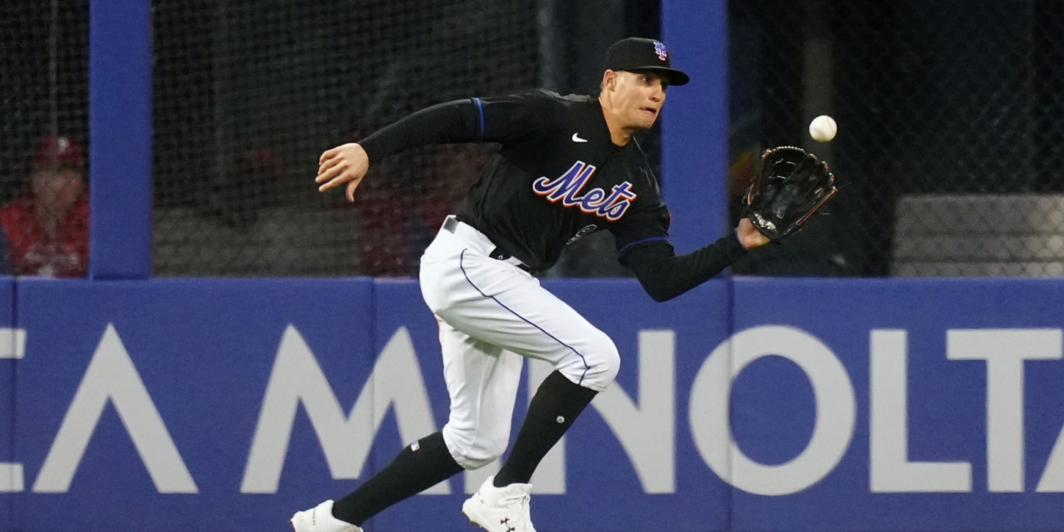 Brandon Nimmo makes diving catch in Mets' no-hitter