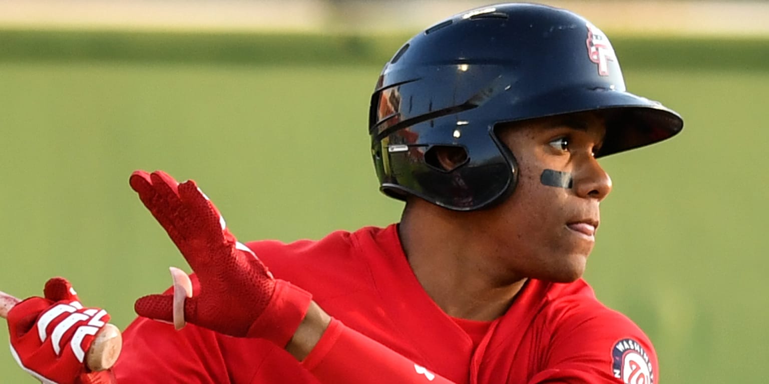 MLB Prospect Profile: Juan Soto, OF, Washington Nationals - Minor League  Ball