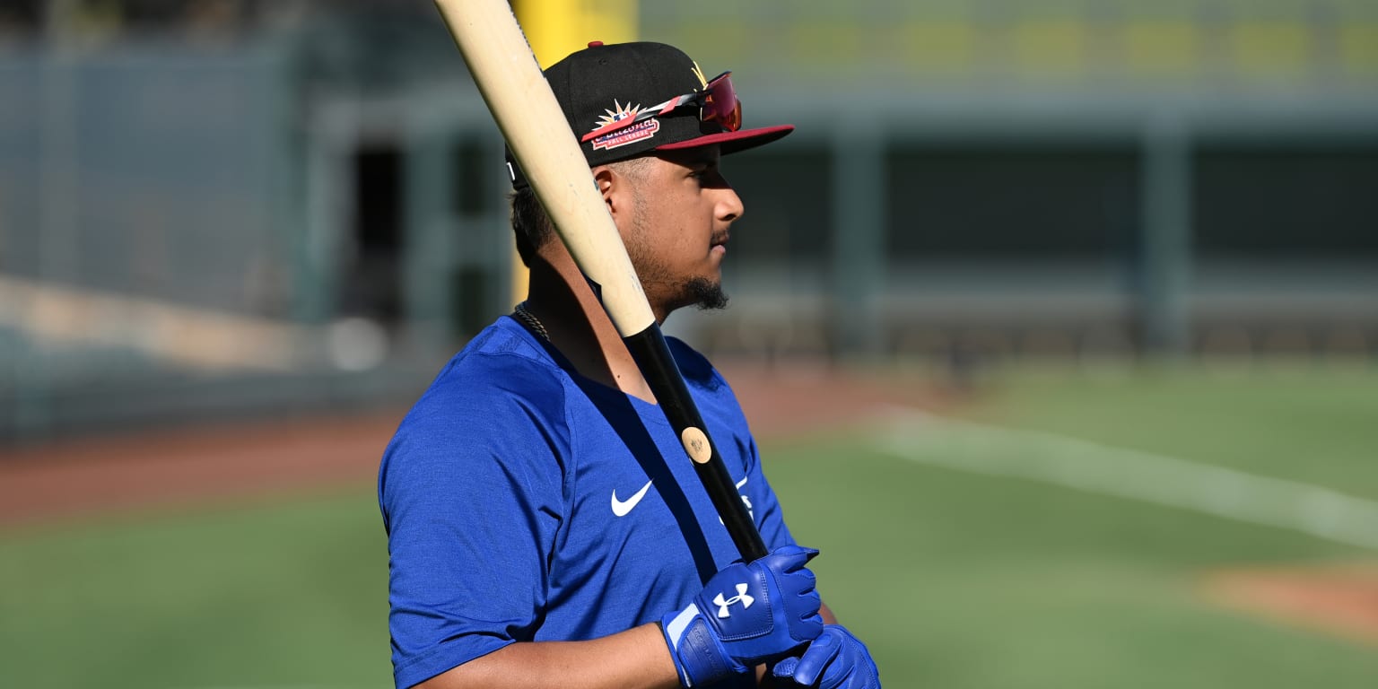 2023 Fantasy Baseball Catcher Player Spotlight: Gabriel Moreno
