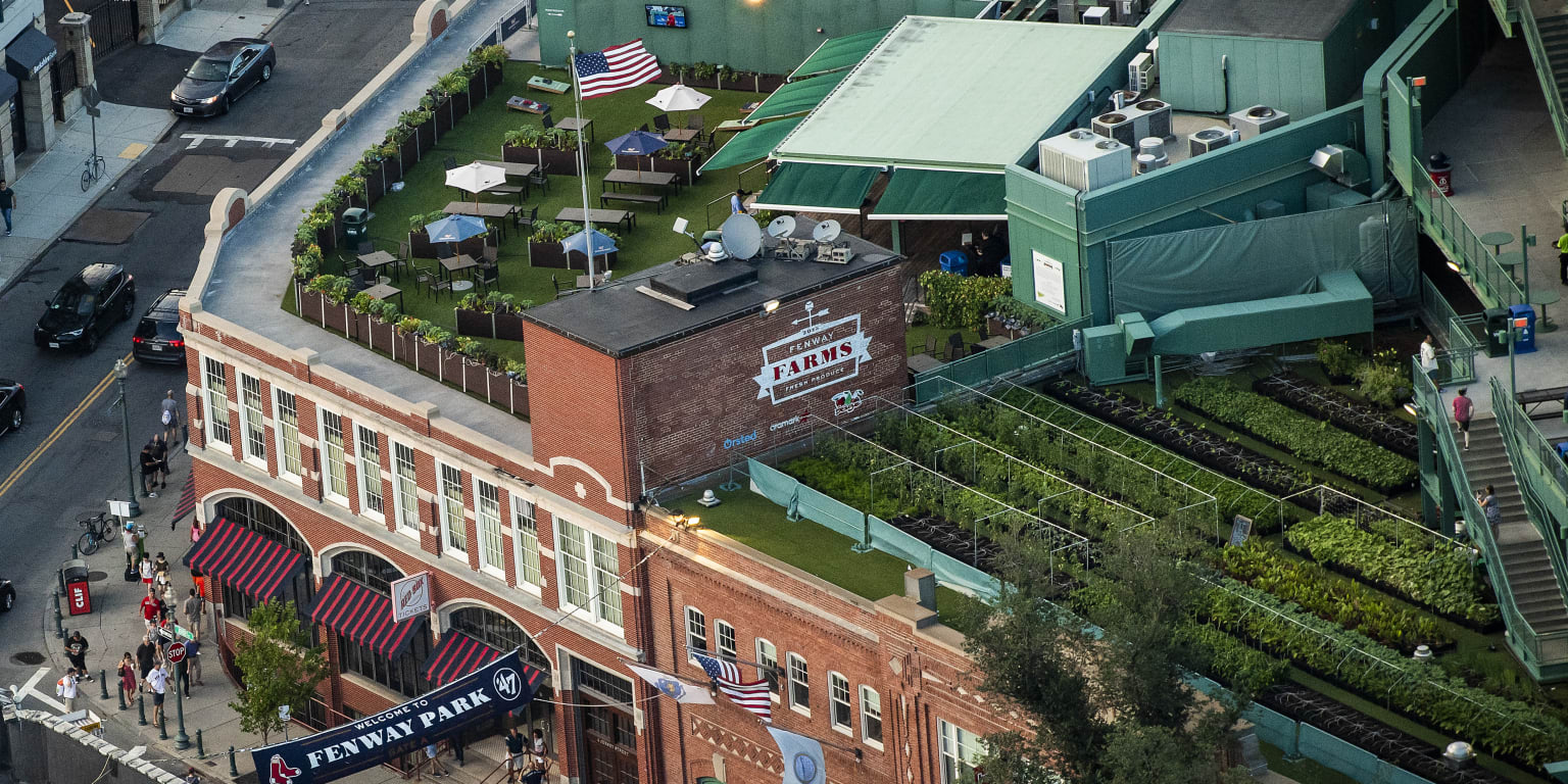 Fenway Farms: On the roof of an iconic sports venue, this urban farm in  Boston can grow 6,000 pounds of produce a year