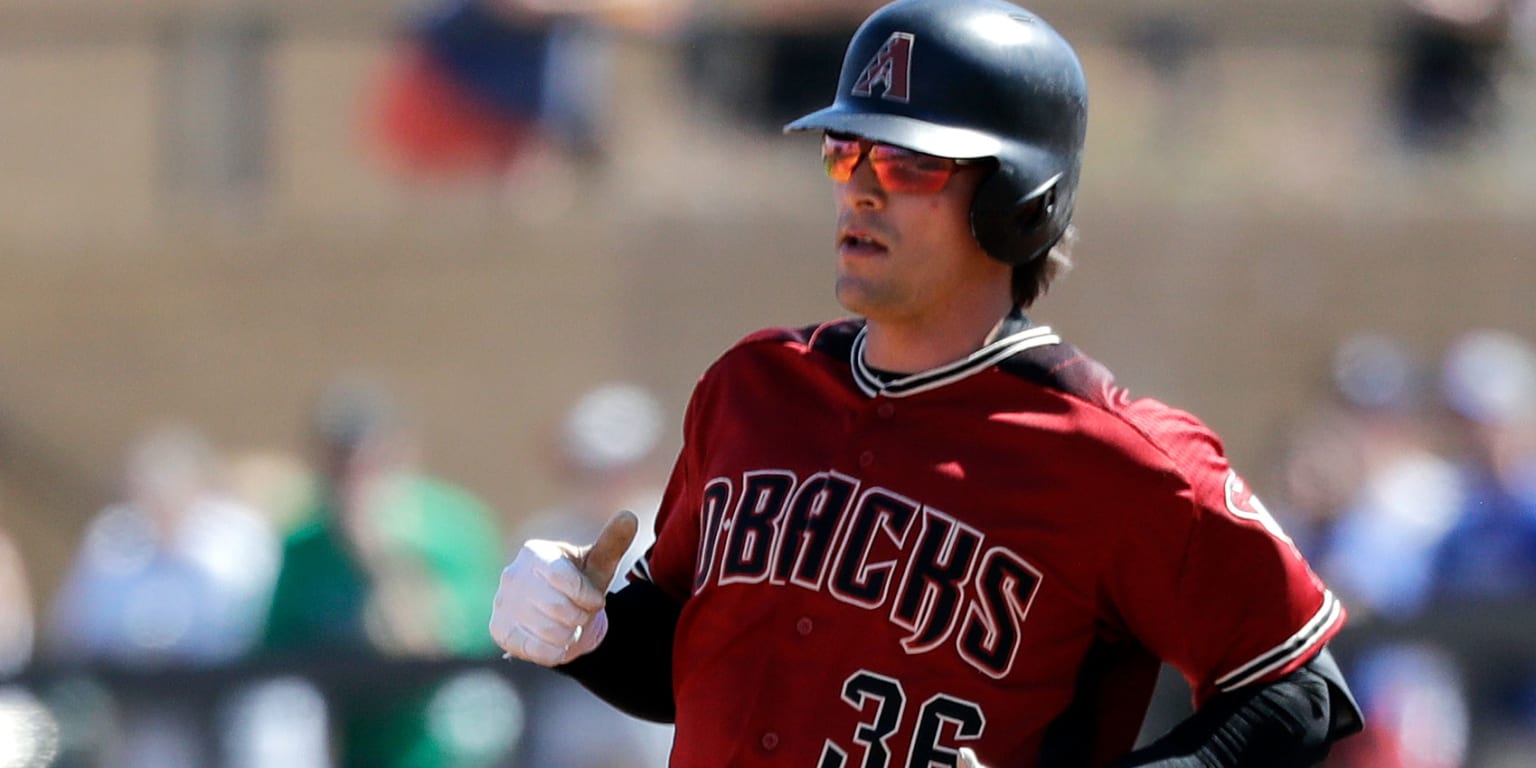 Arizona Diamondbacks' Zack Greinke starting to gel with John Ryan Murphy