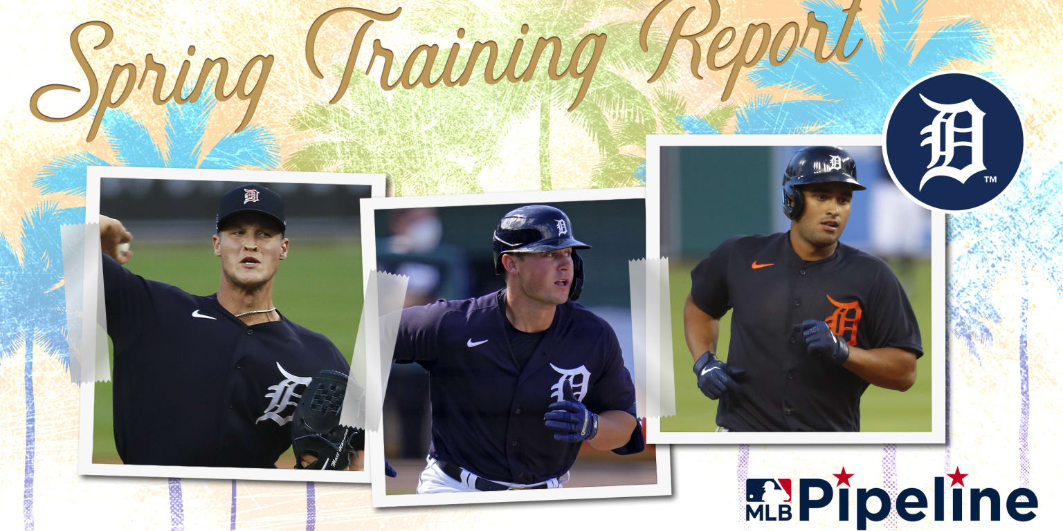 Tigers Minor League Spring Training report