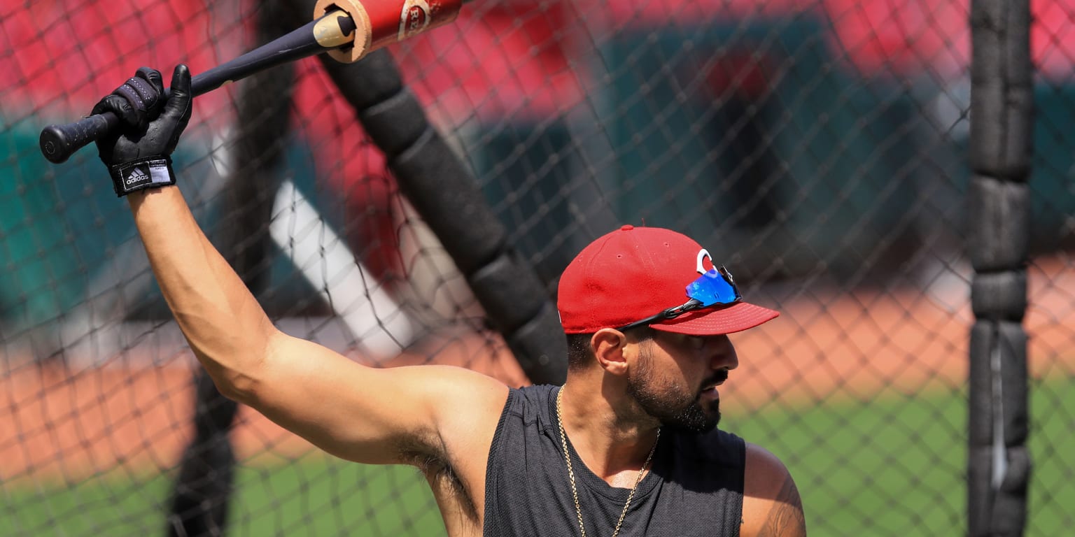 Nick Castellanos will be ready for Opening Day