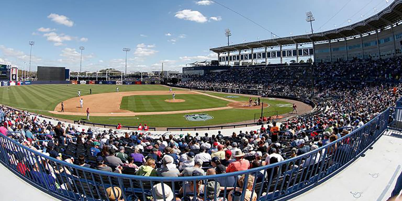 Fans can watch Yankees take BP this spring