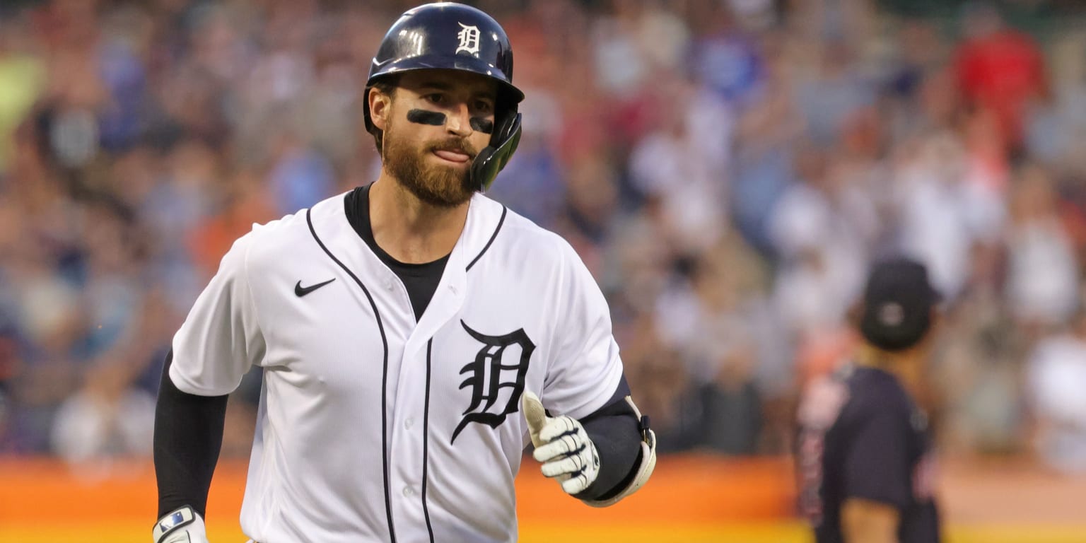 Detroit Tigers' Eric Haase plays during a baseball game, Sunday