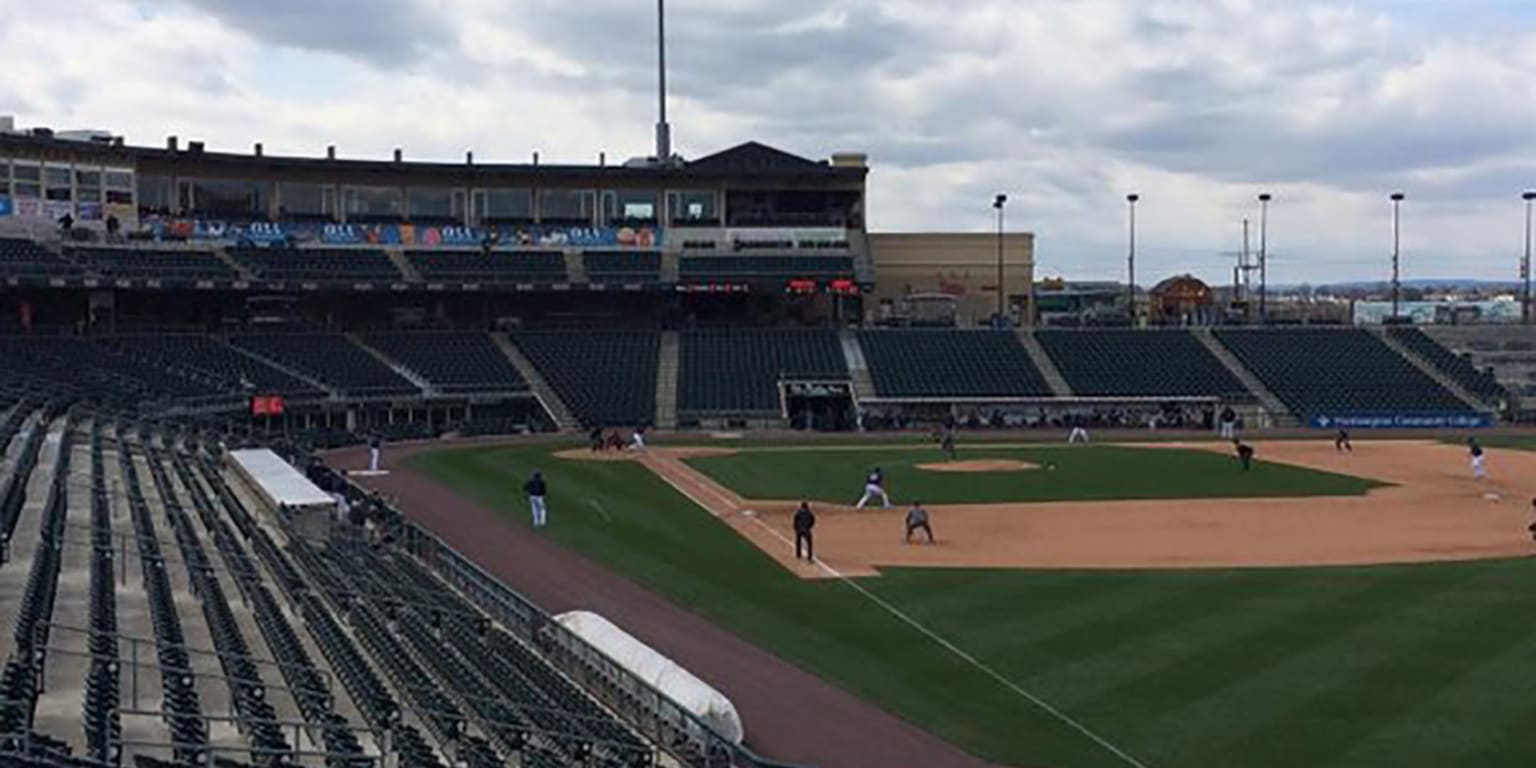 For one delicious day, the Lehigh Valley IronPigs will become the Lehigh  Valley Cheesesteaks