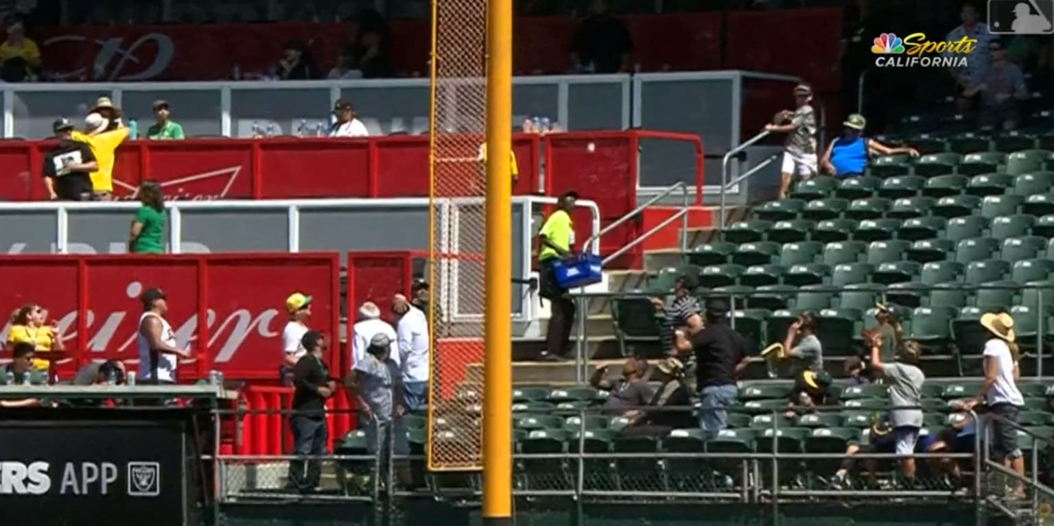 A Mets stadium vendor used his beer tray to try and catch a foul ball, and  it almost worked