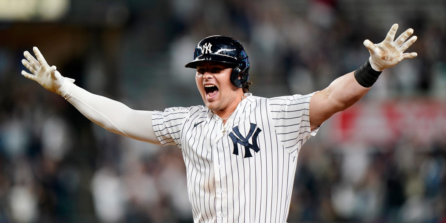 A free-agent profile for 1B Luke Voit