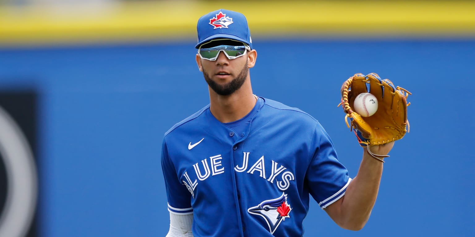 Blue Jays need to add outfielder, pitching