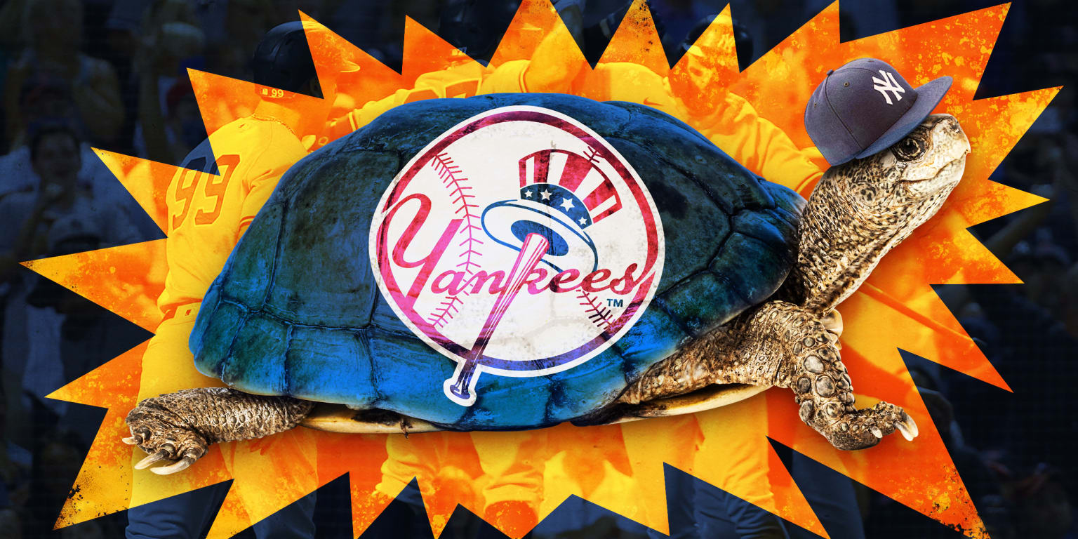 Yankees' Pet Turtle, Bronxie, Travels to Fenway for Wild Card Vs Red Sox