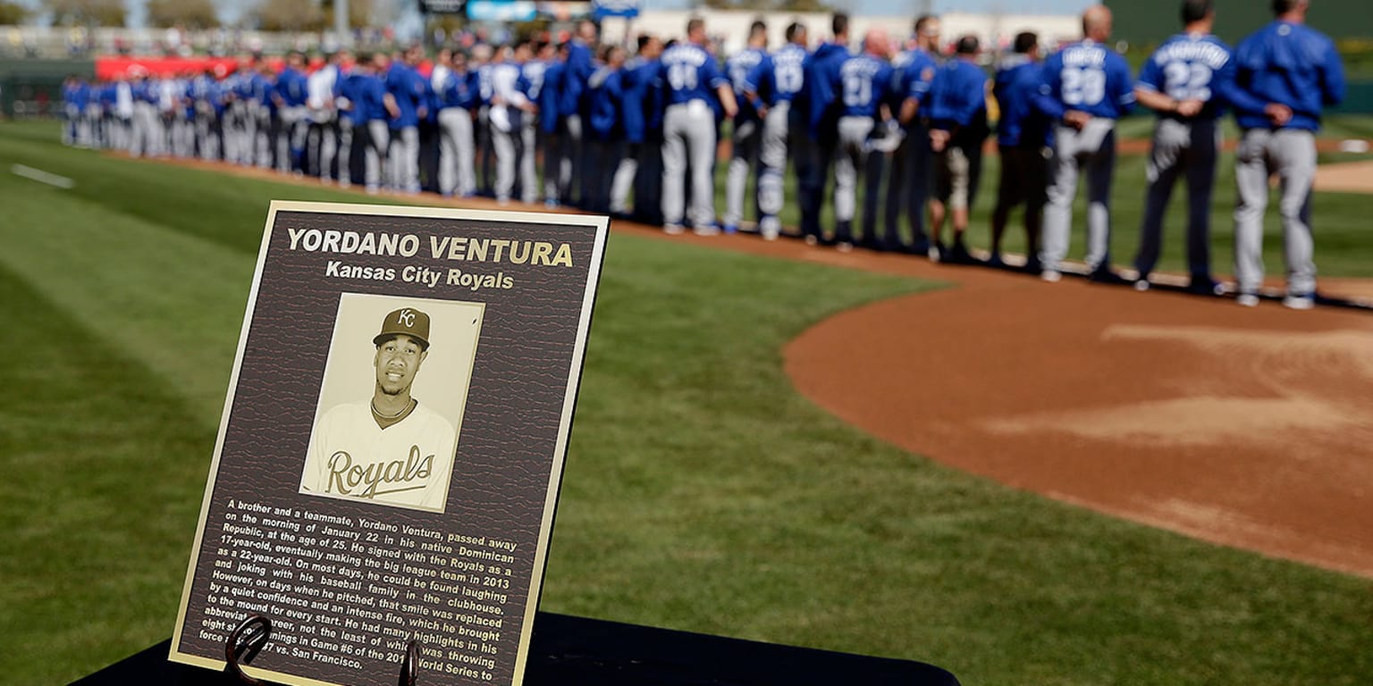 No sign of alcohol at the scene of Ventura's collision - Royals Review