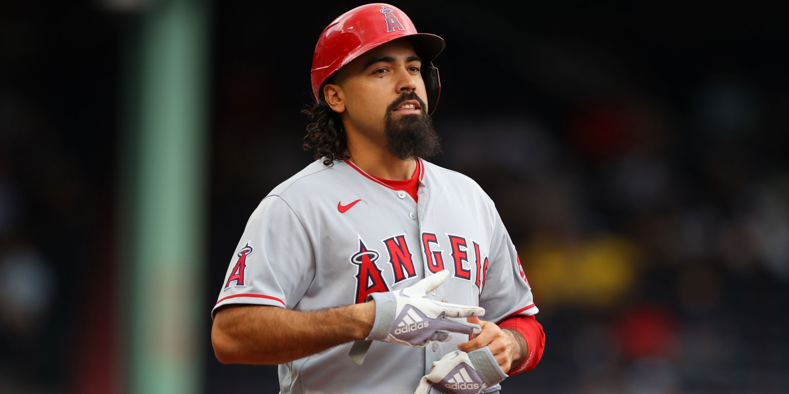Angels star Anthony Rendon bizarrely claims his injury is a FRACTURE  despite his team reporting it as a bone bruise: 'You got to ask them