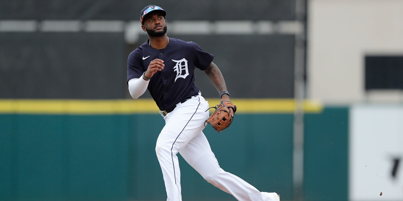 After day off to reset, Tigers' Niko Goodrum comes up big in series finale  