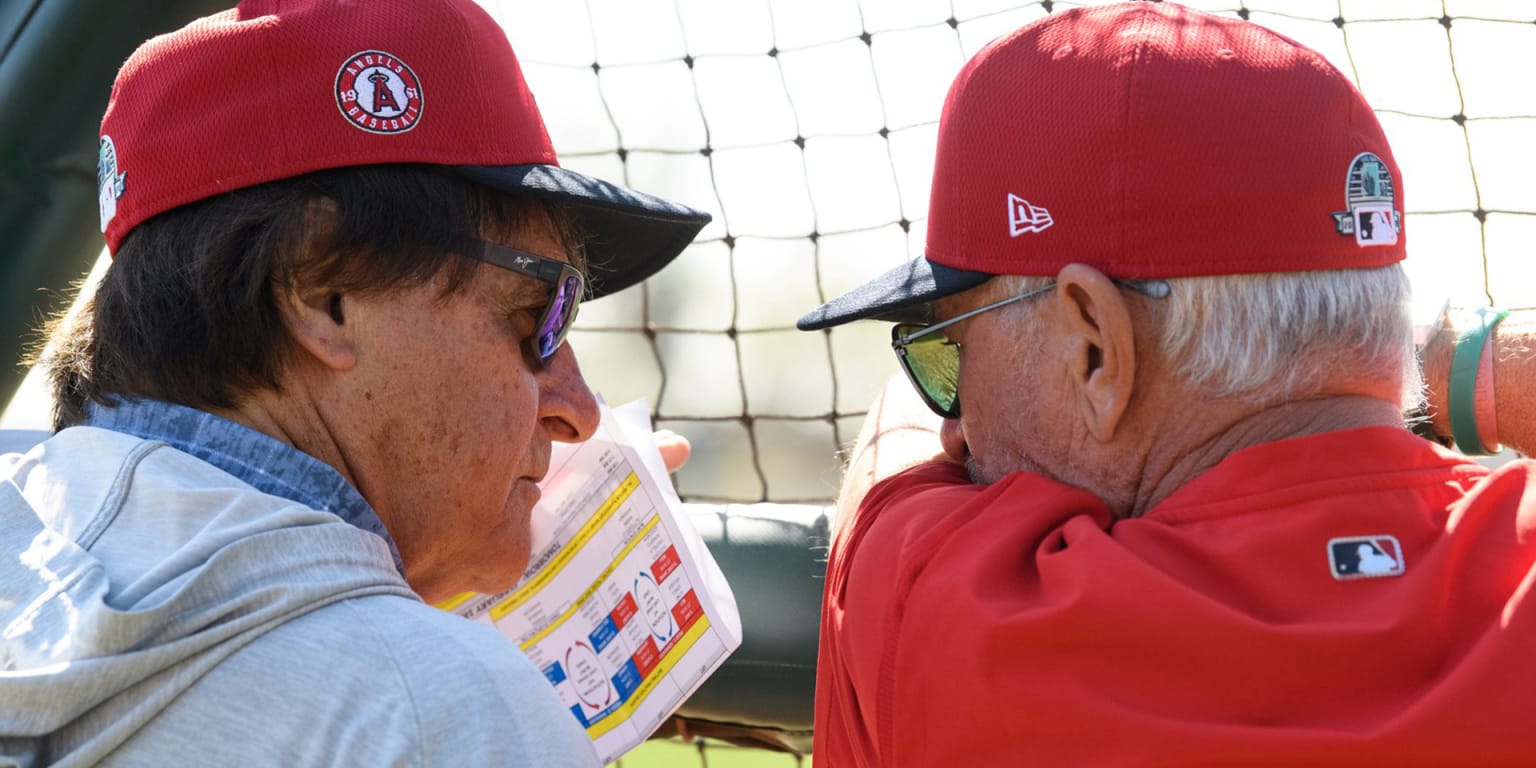 Cardinals, La Russa named adviser for Angels