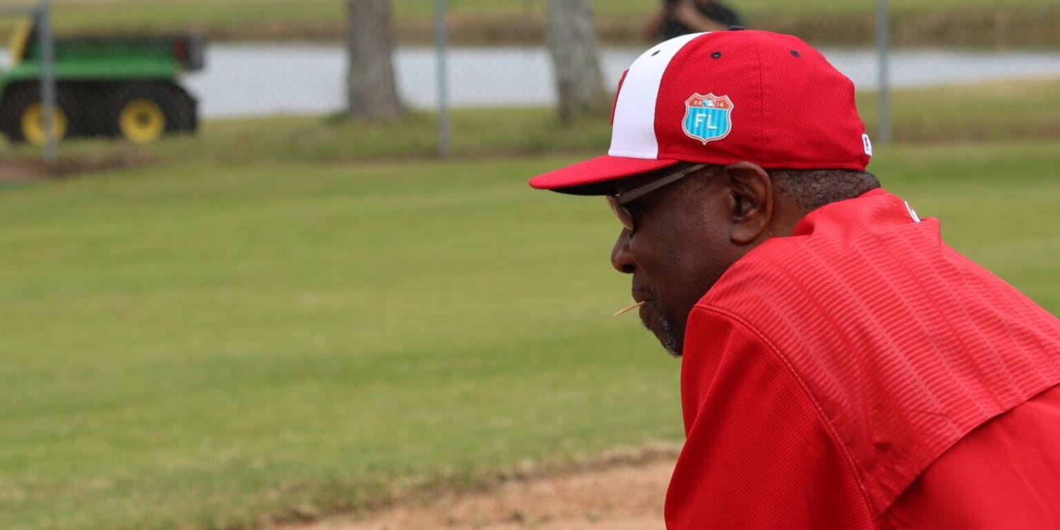 dusty baker toothpicks