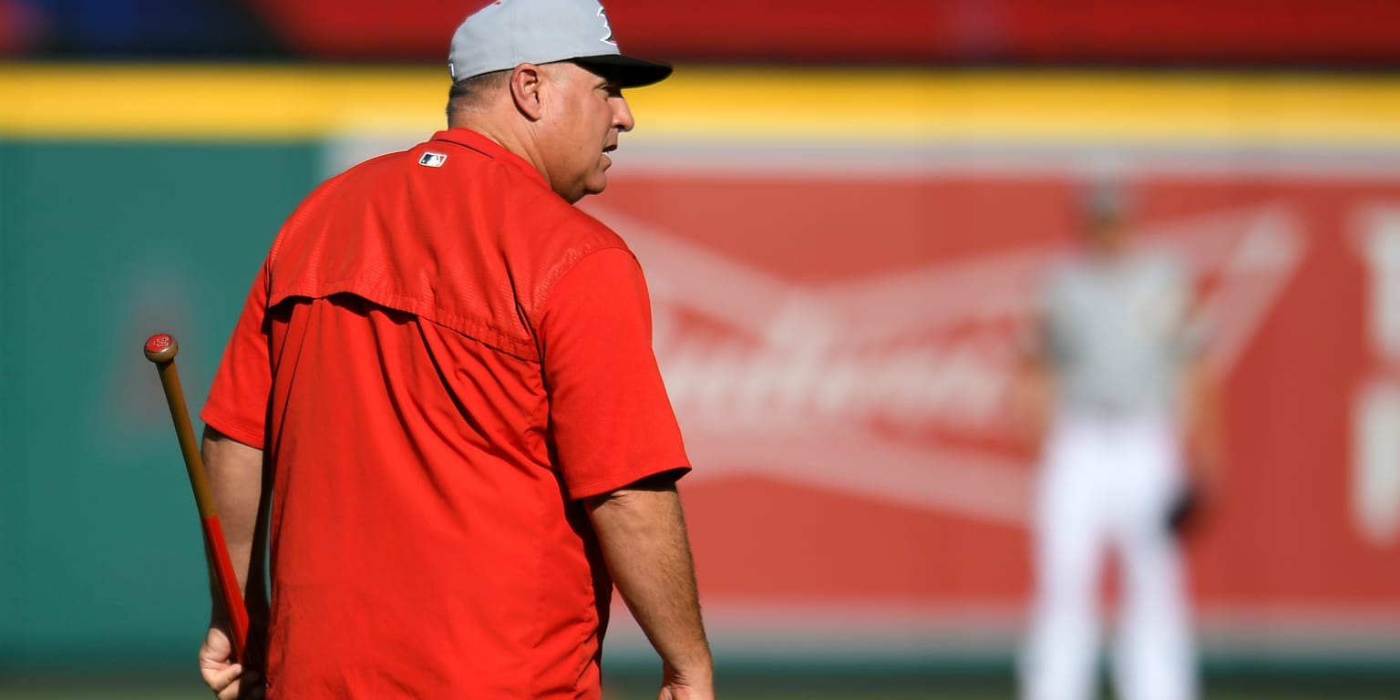 Mike Scioscia named U.S. baseball manager ahead of Olympic qualifying - NBC  Sports