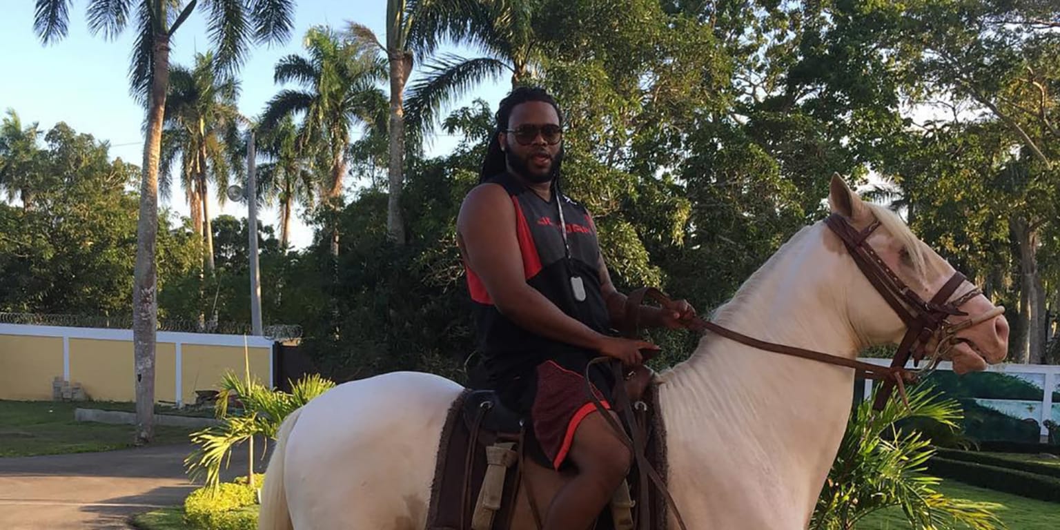 MLB pitcher Johnny Cueto shares photo of his dead horse