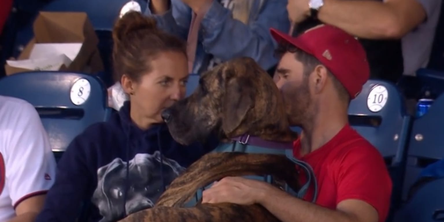 Want to take your dog to a Nationals game? Here's how you can.