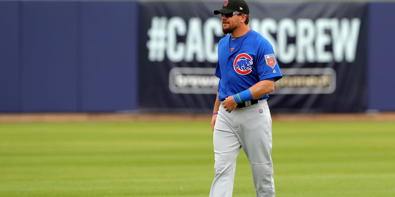Brace yourselves The Cubs are playing the white sox - Brace