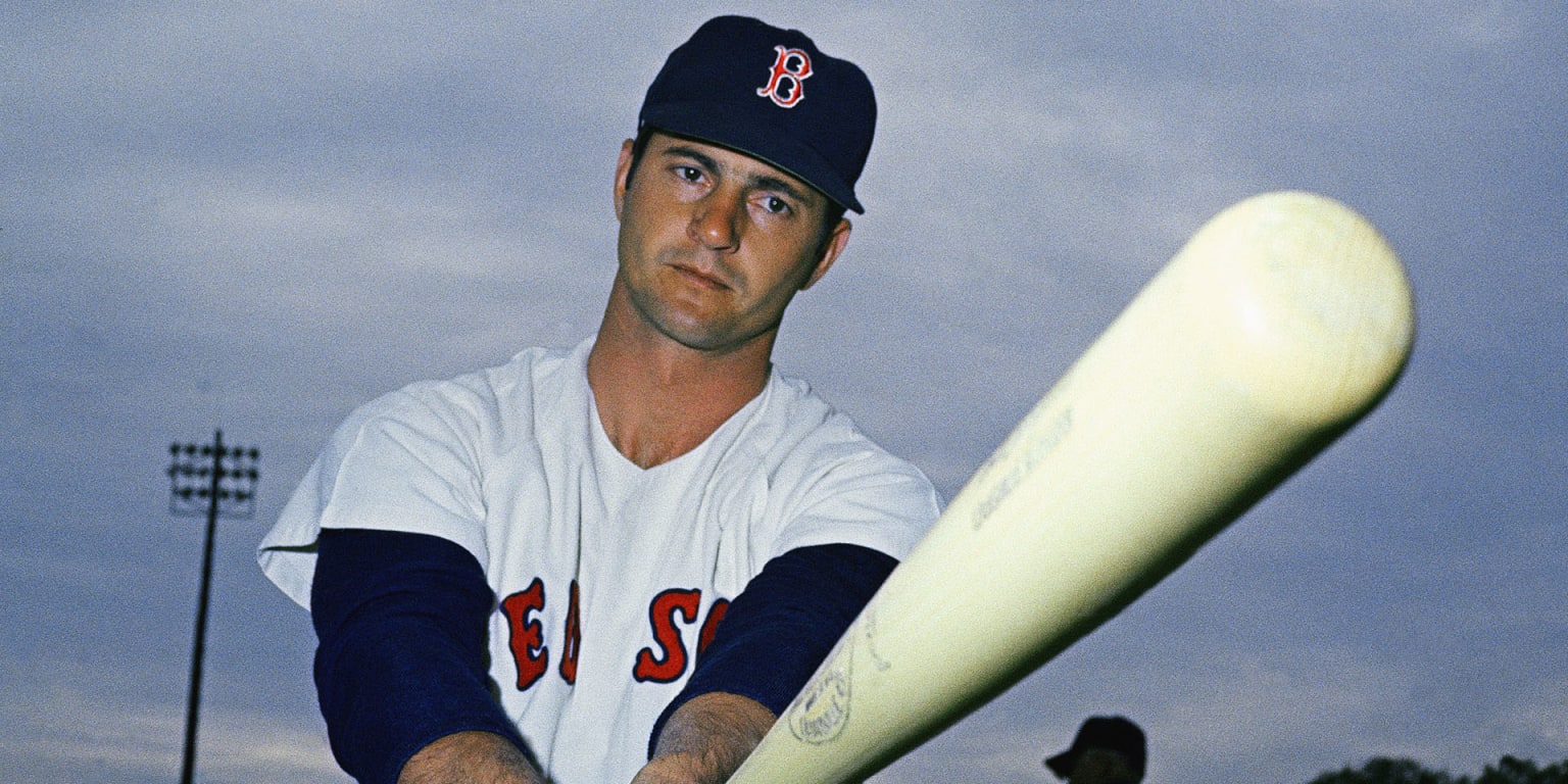 Carl Yastrzemski Boston Red Sox by Iconic Sports Gallery