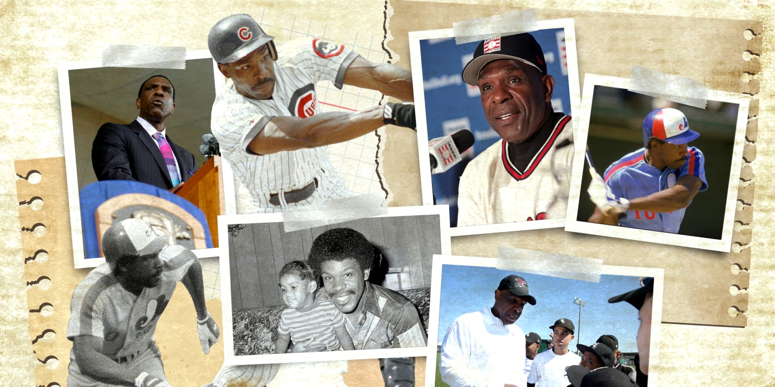 Andre Dawson – Society for American Baseball Research