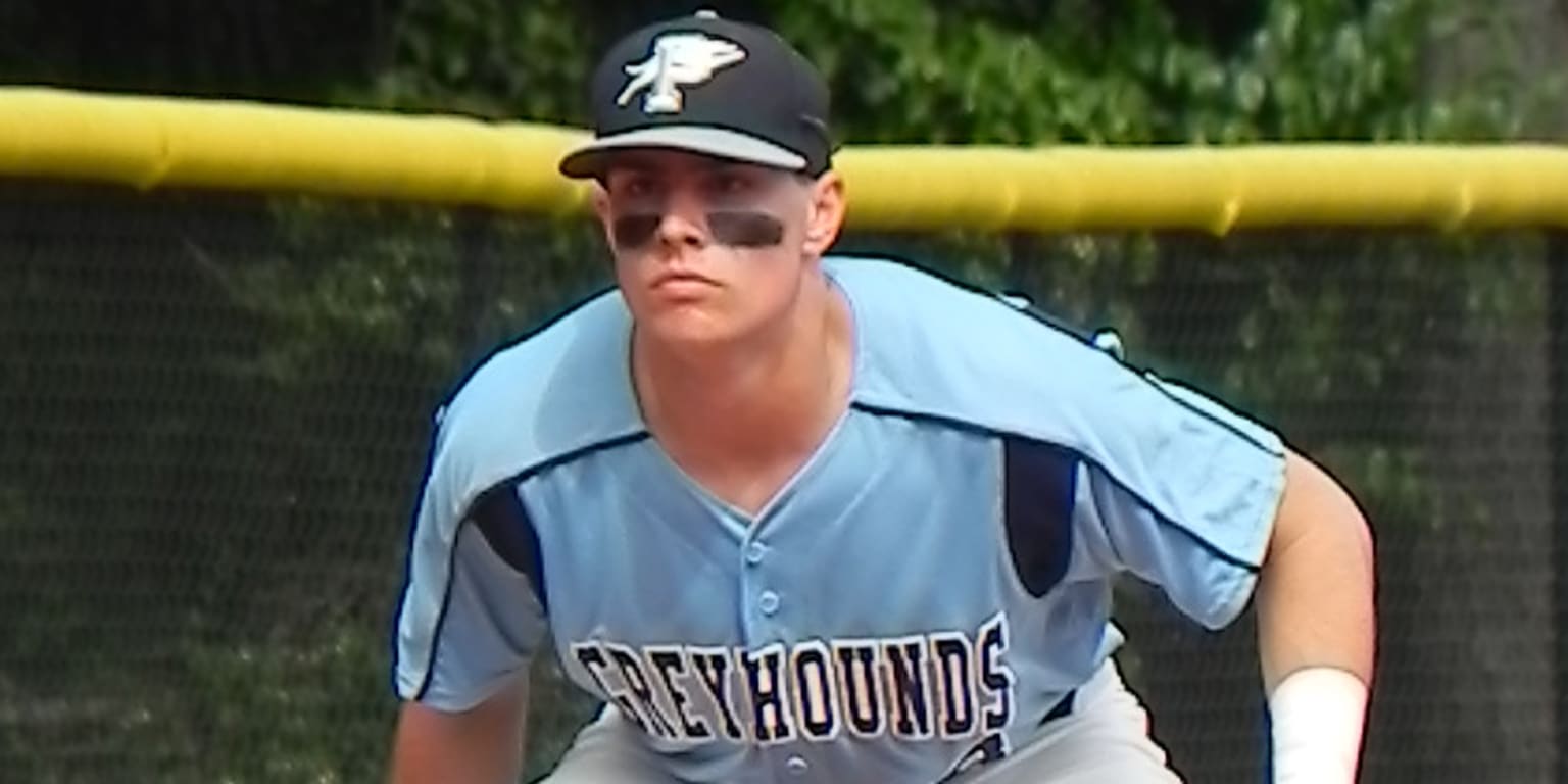 Tampa Bay Rays draft Georgia brothers Joshua and Nathaniel Lowe