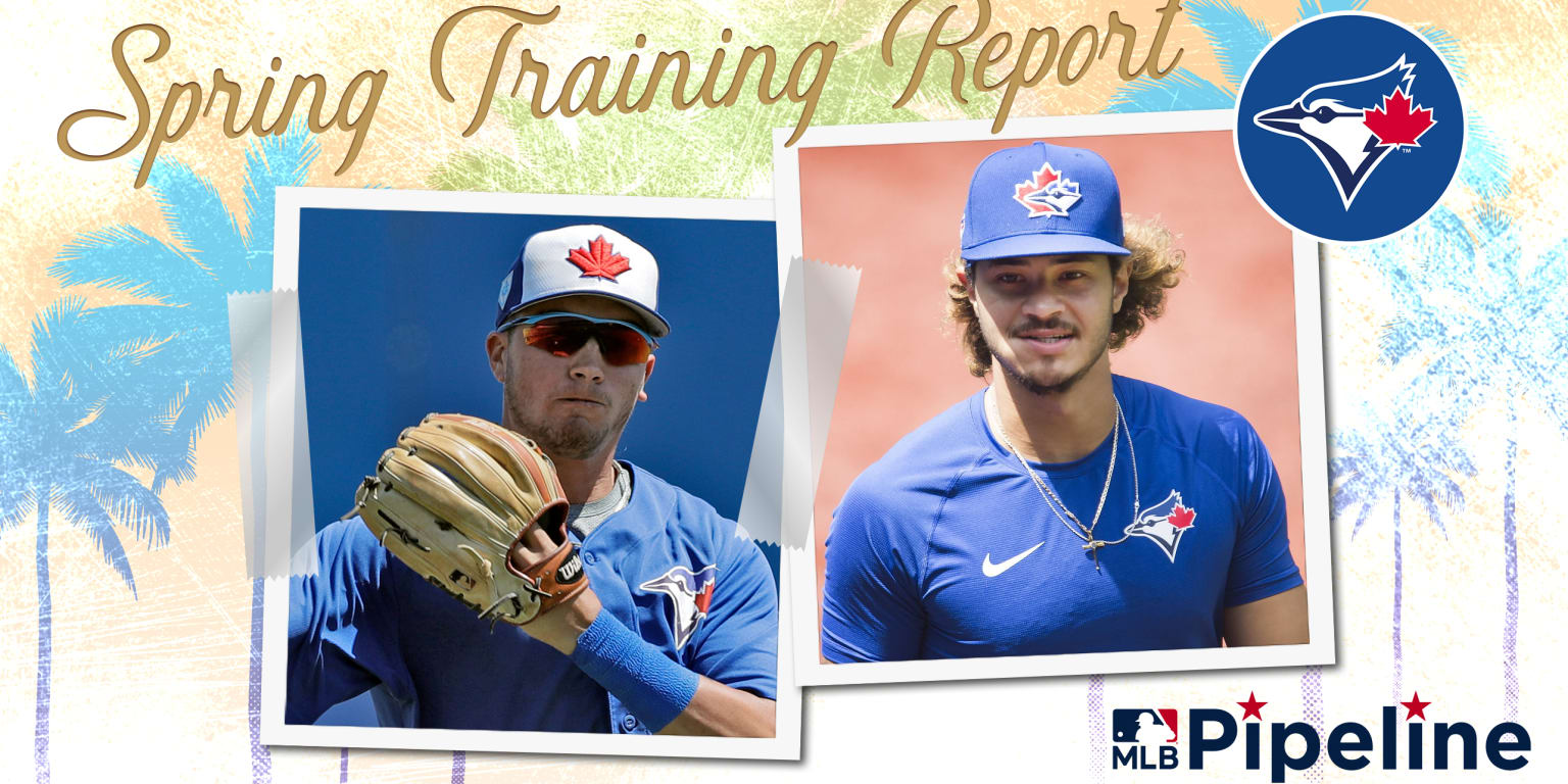 Blue Jays to hold summer training camp in Toronto in preparation for  shortened MLB season