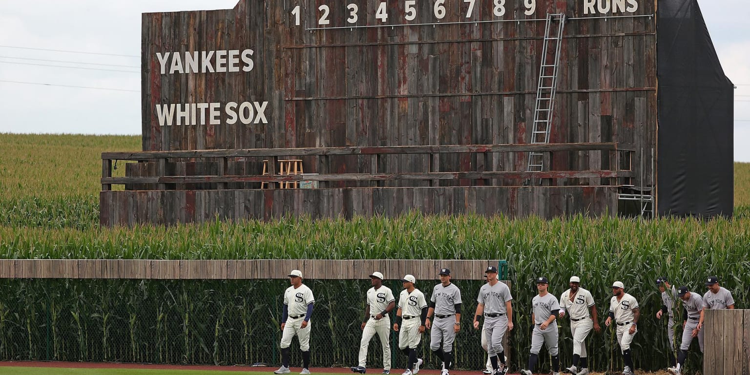 Official Field Of Dreams Chicago White Sox Tim Anderson Stalk Off