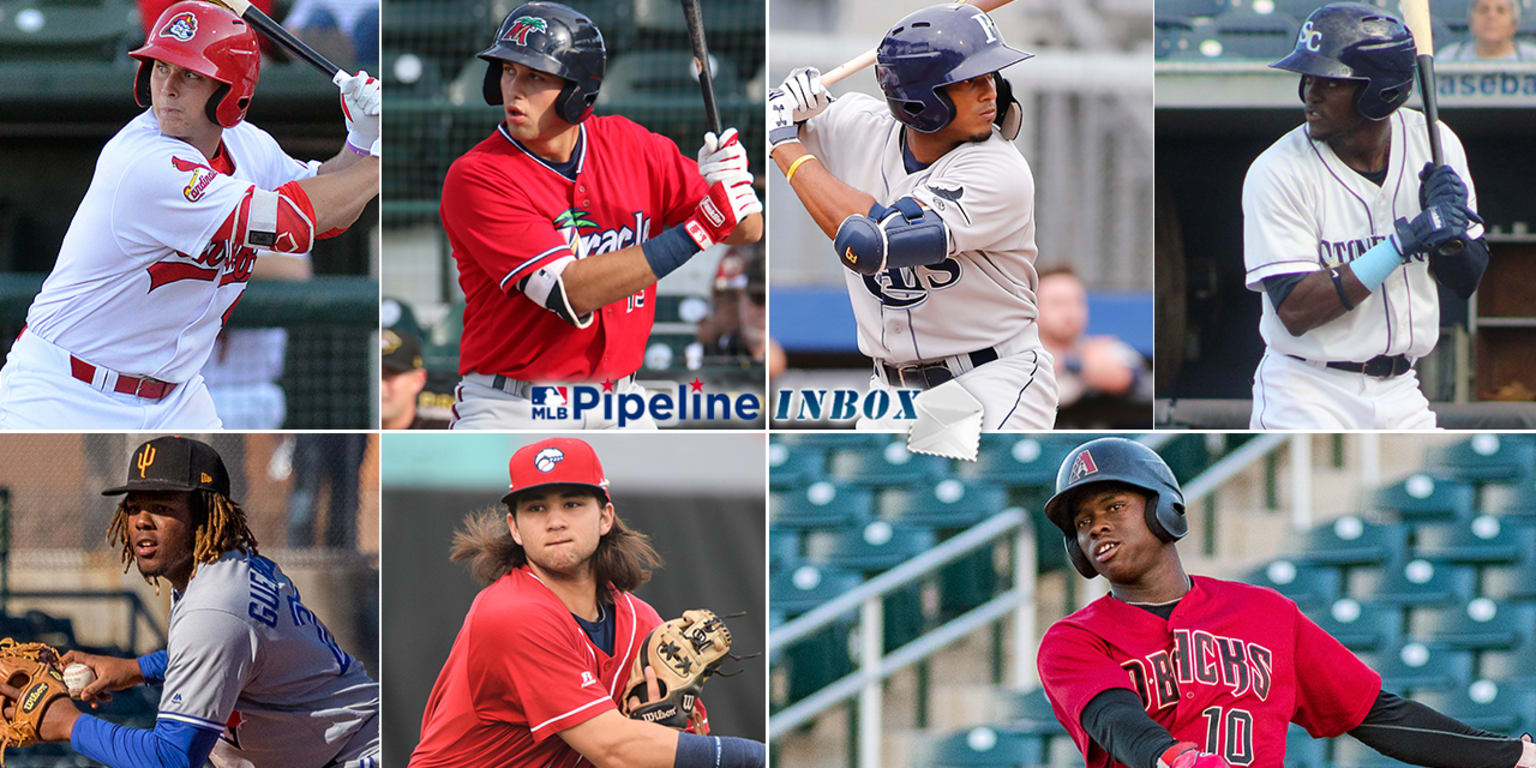 Predicting the Minor League home run leaders