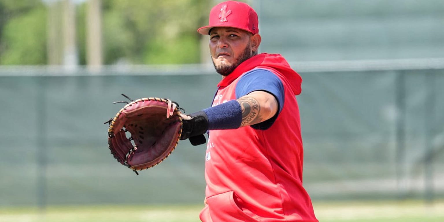 Yadier Molina successfully took his first steps with Magallanes