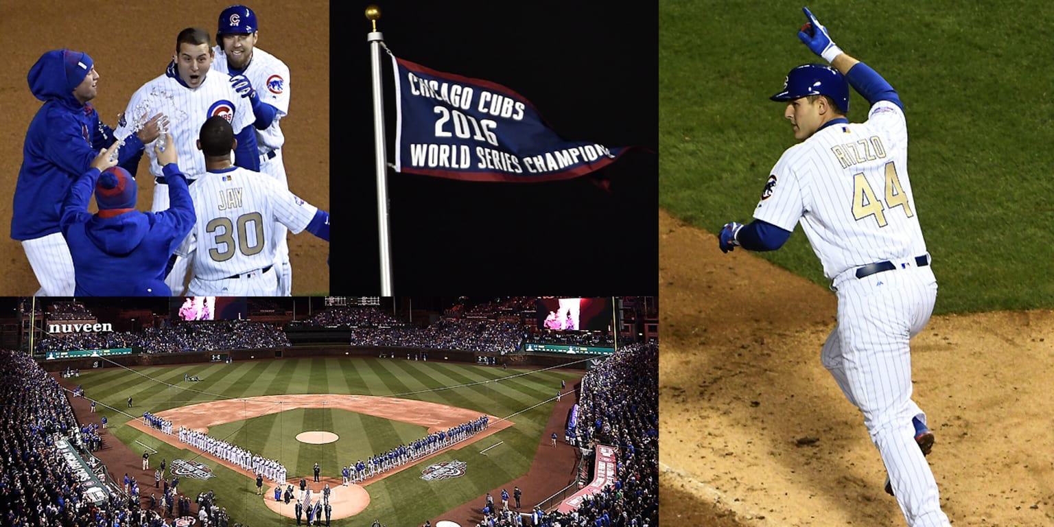 Thank you, Chicago Cubs world series 2016 - Chicago Cubs baseball team
