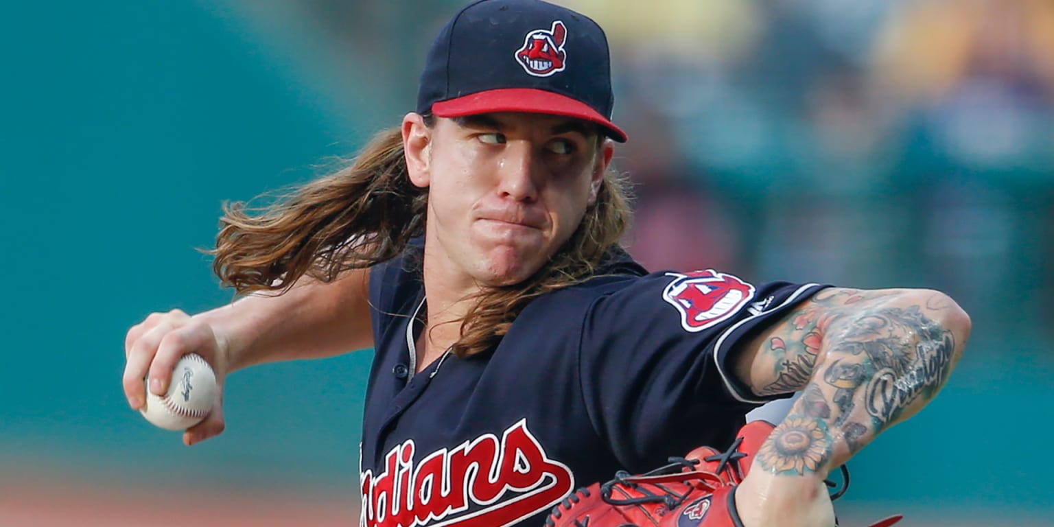 Indians beat Rays behind Clevinger, Bruce