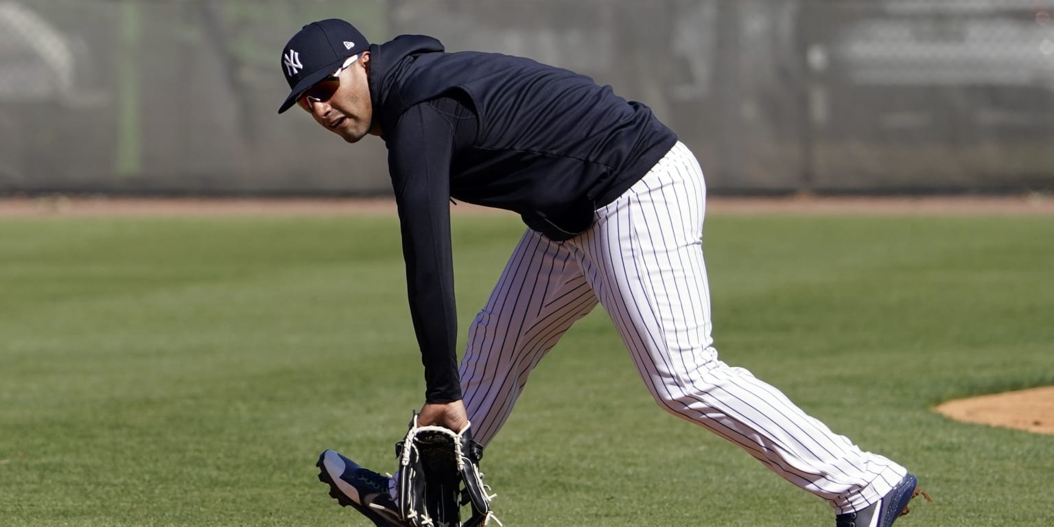 Gleyber Torres' father proud of son's success