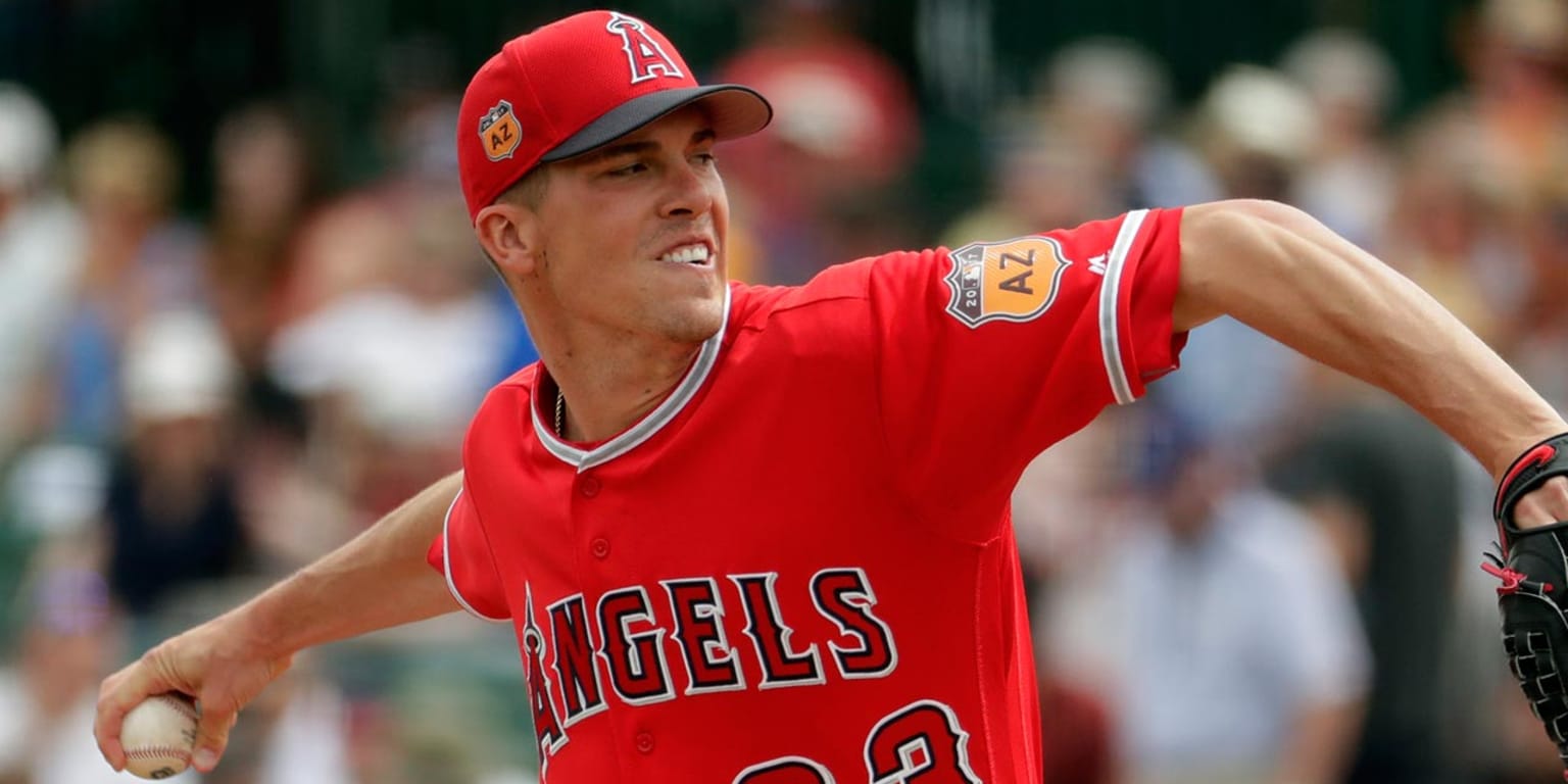 Angels' Alex Meyer was a teacher in offseason