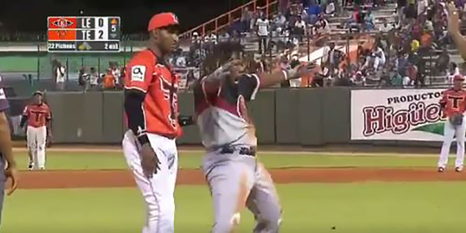 Vlad Guerrero Jr. celebrated a triple in the Dominican Winter League ...