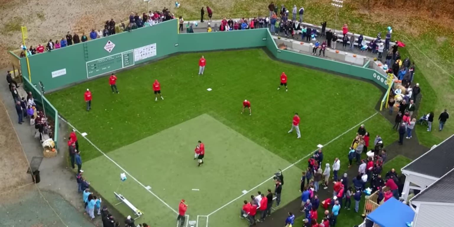 Make-A-Wish Foundation Gives Baseball Fan Fake Fenway Park