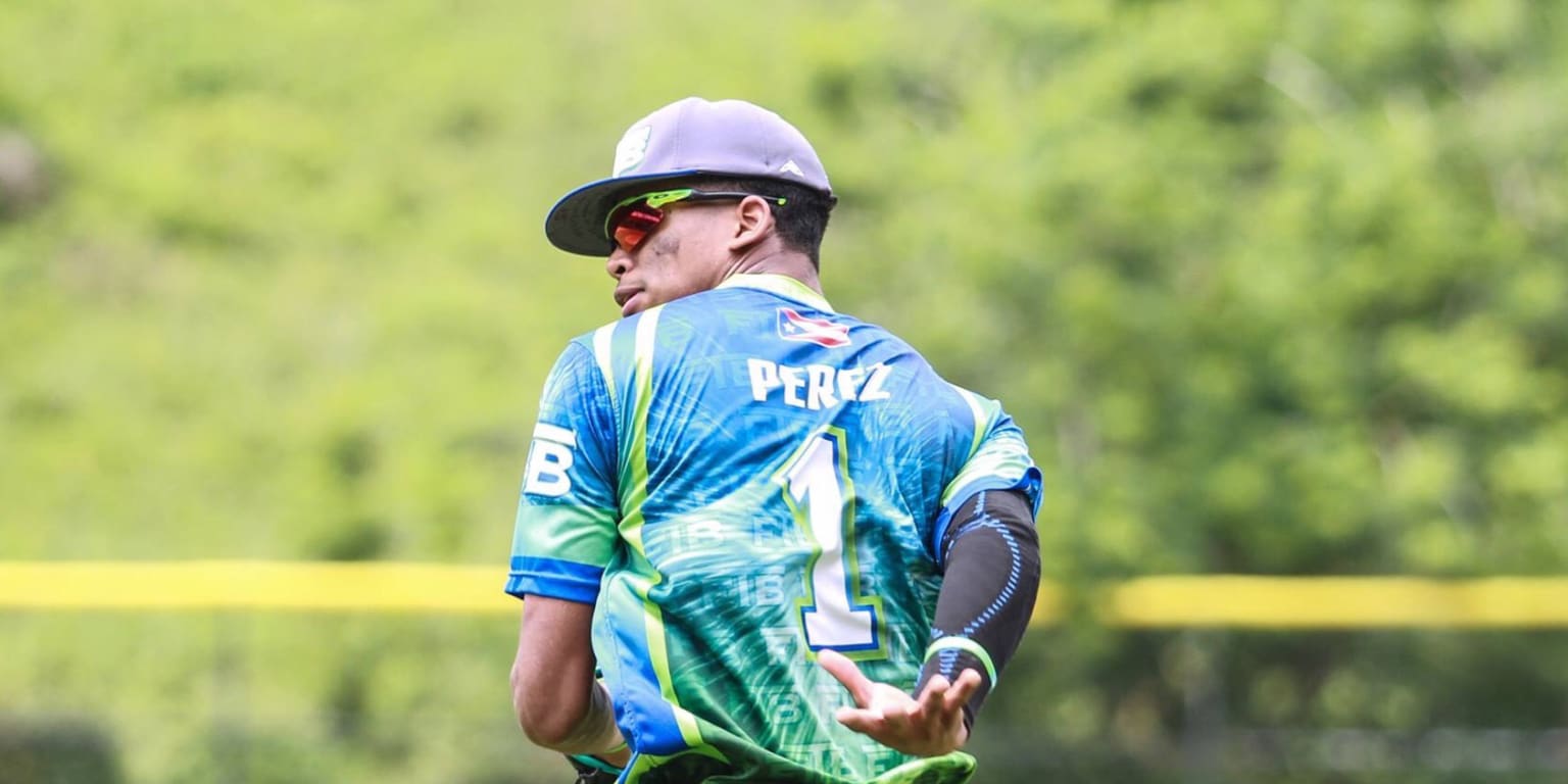 2016 MLB Draft prospects: Delvin Perez, SS, Puerto Rico - Red Reporter