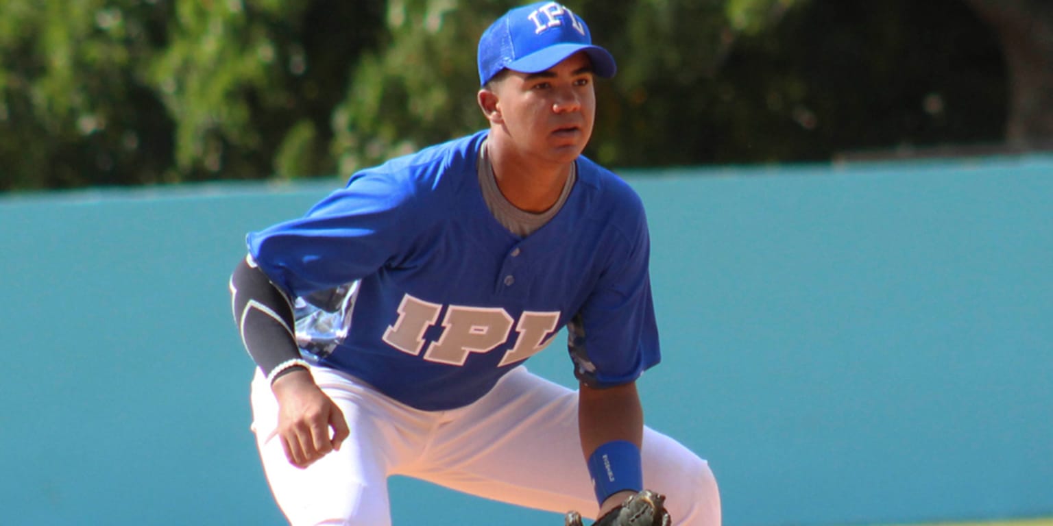 Like Daddy, like son? Pedro Martinez Jr. has been signed by the Tigers