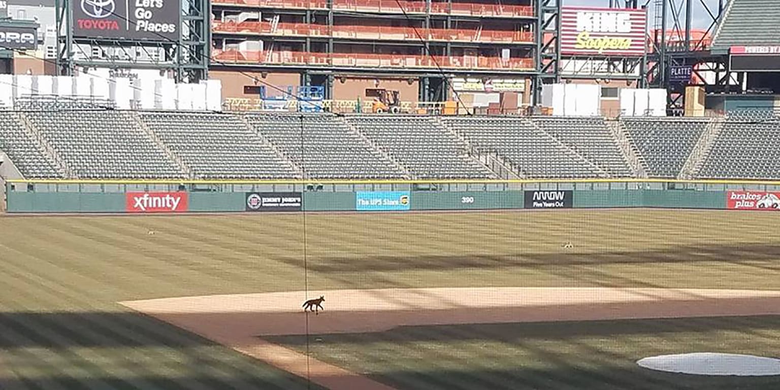 Ballpark Quirks: Taking to the rooftop deck in Colorado's Coors Field -  Sports Illustrated