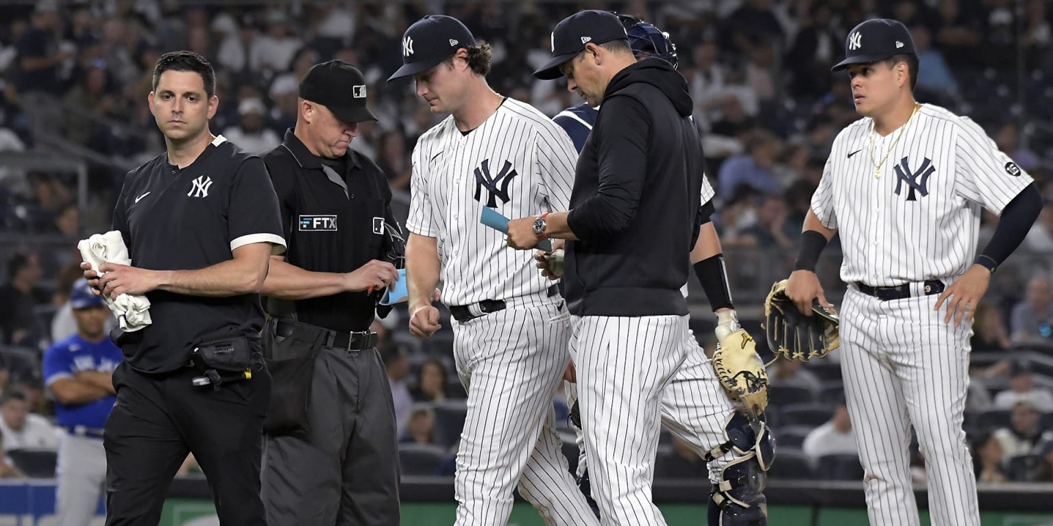 Yankees' Brett Gardner charges at umpire after being mistakenly