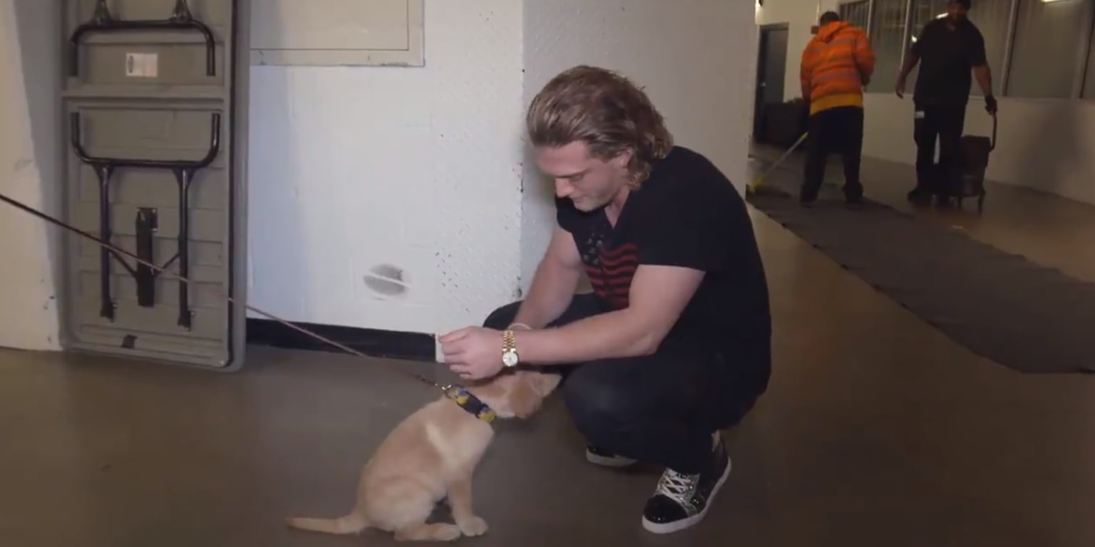 Cute kid feeds Harrison Bader of the Cardinals a tater tot from the stands