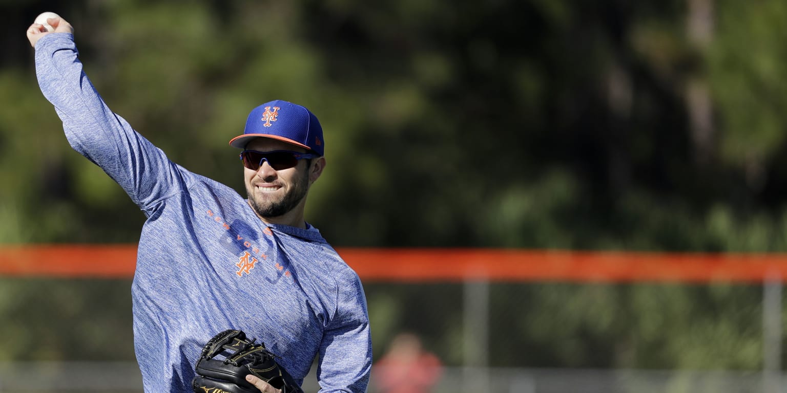 Back From Rehab, Can Travis d'Arnaud Find a Place With the Mets