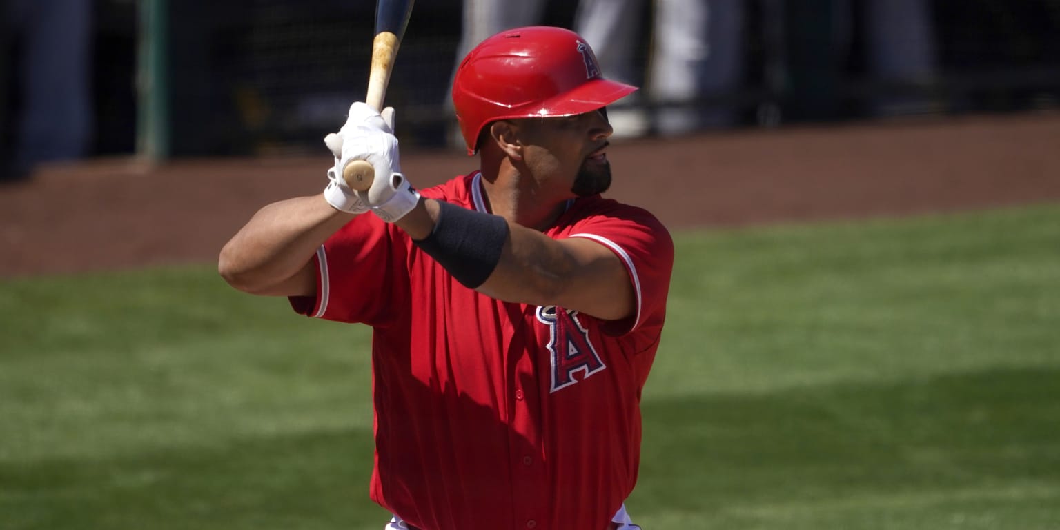 Albert Pujols News, Updates, Stats, Injuries, and Opinion - Halo Hangout