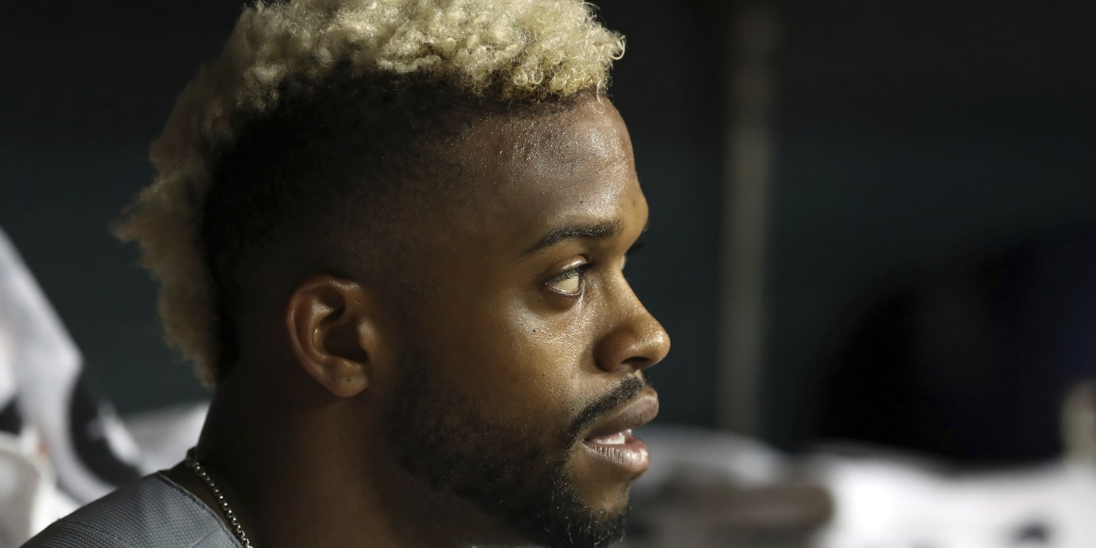 Delino DeShields and his sister, WNBA star Diamond, had an adorable embrace  before Rangers-White Sox