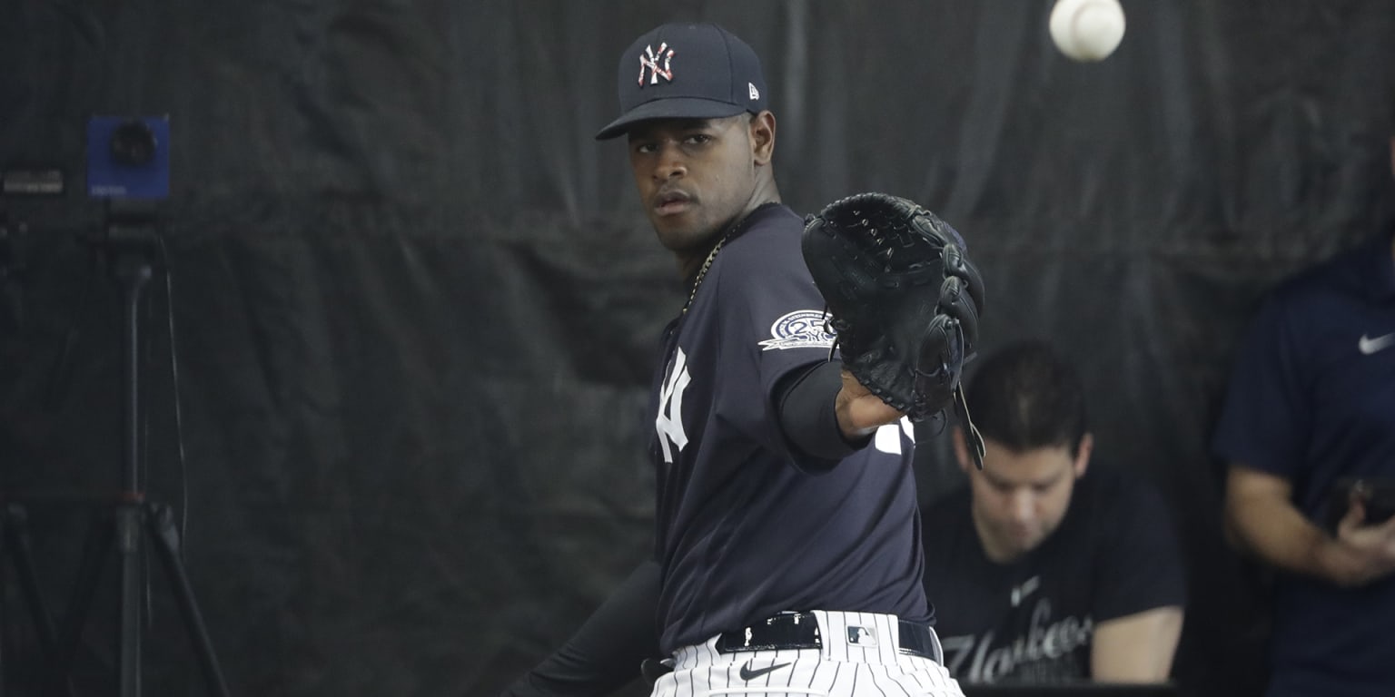 Yankees' Luis Severino to Miss 2020 Season After Elbow Surgery