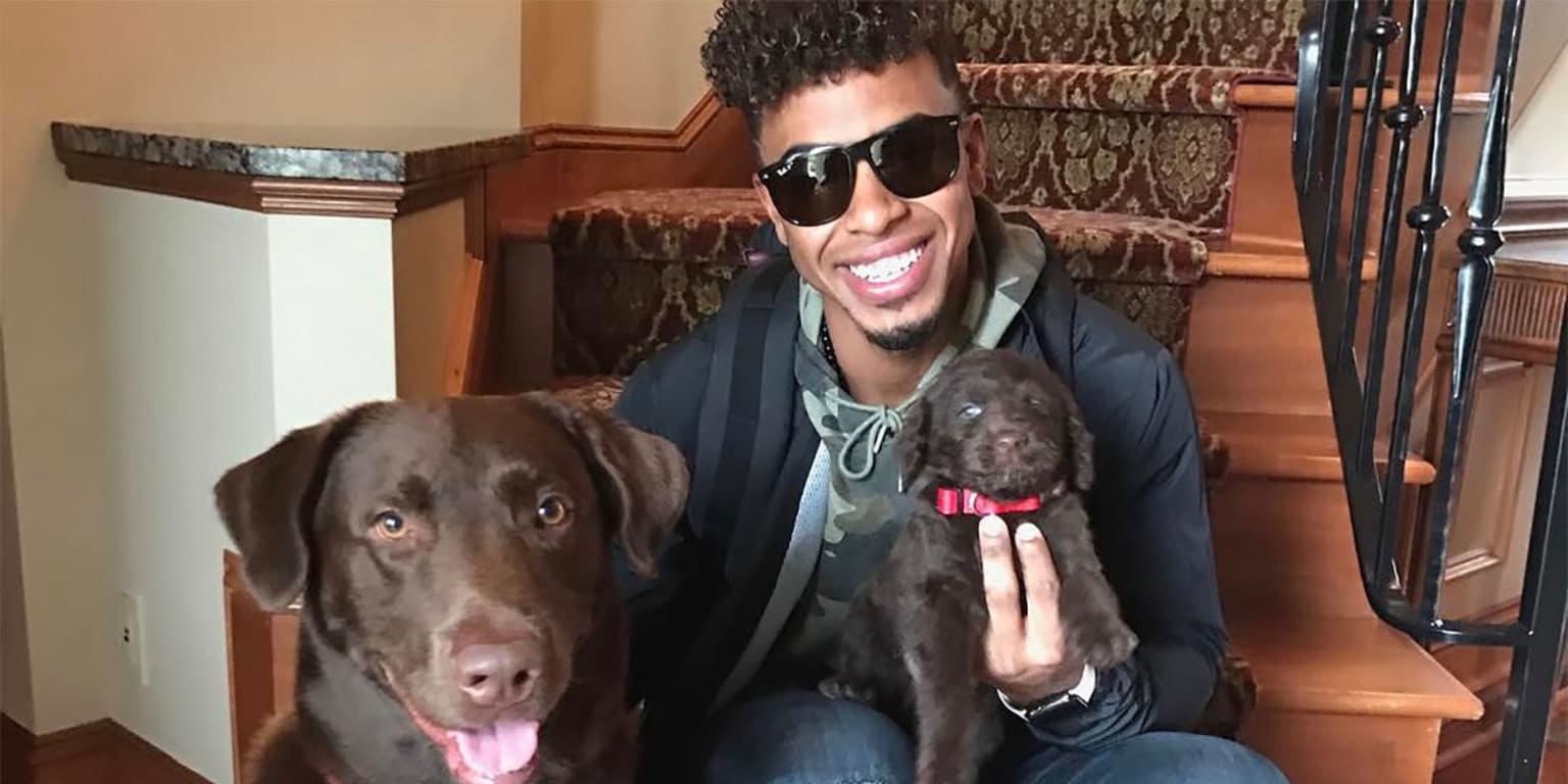 Let's rank the 2018 All-Stars by how cute their pets are