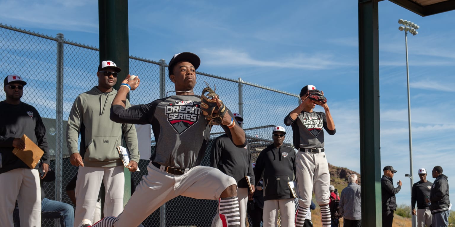 Tony Reagins leads MLBs efforts to grow youth baseball  Los Angeles Times