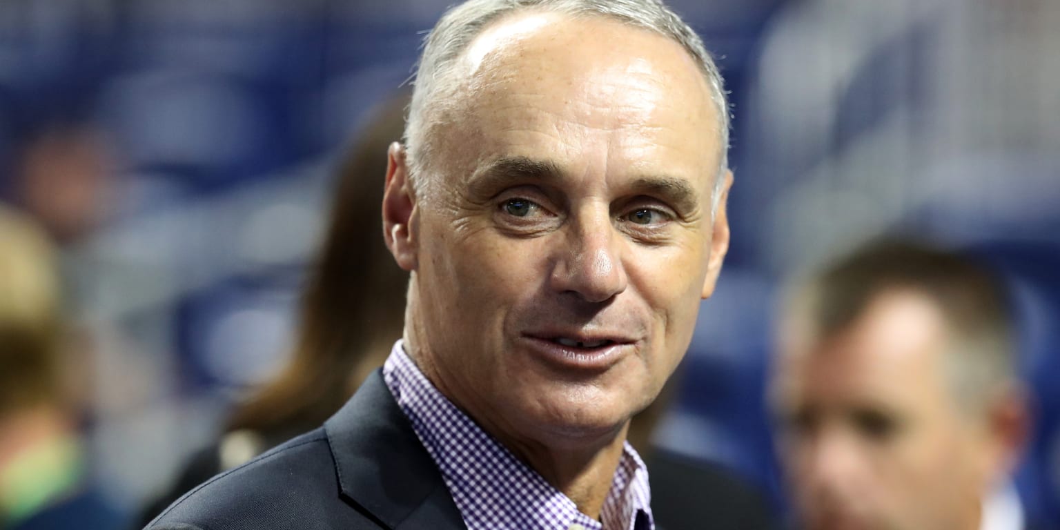 Rob Manfred discusses netting in MLB ballparks