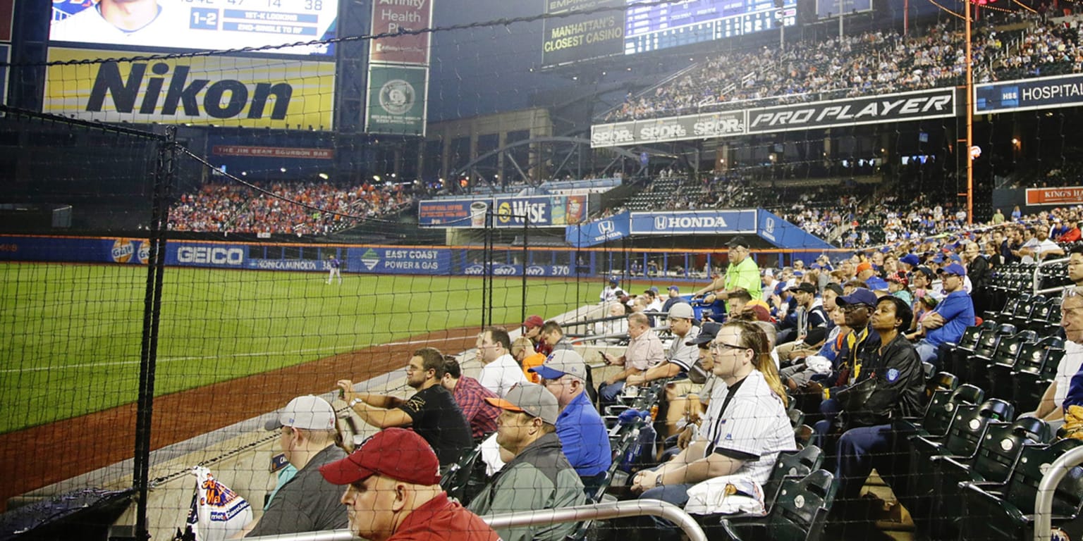 Ballpark Netting  Los Angeles Dodgers