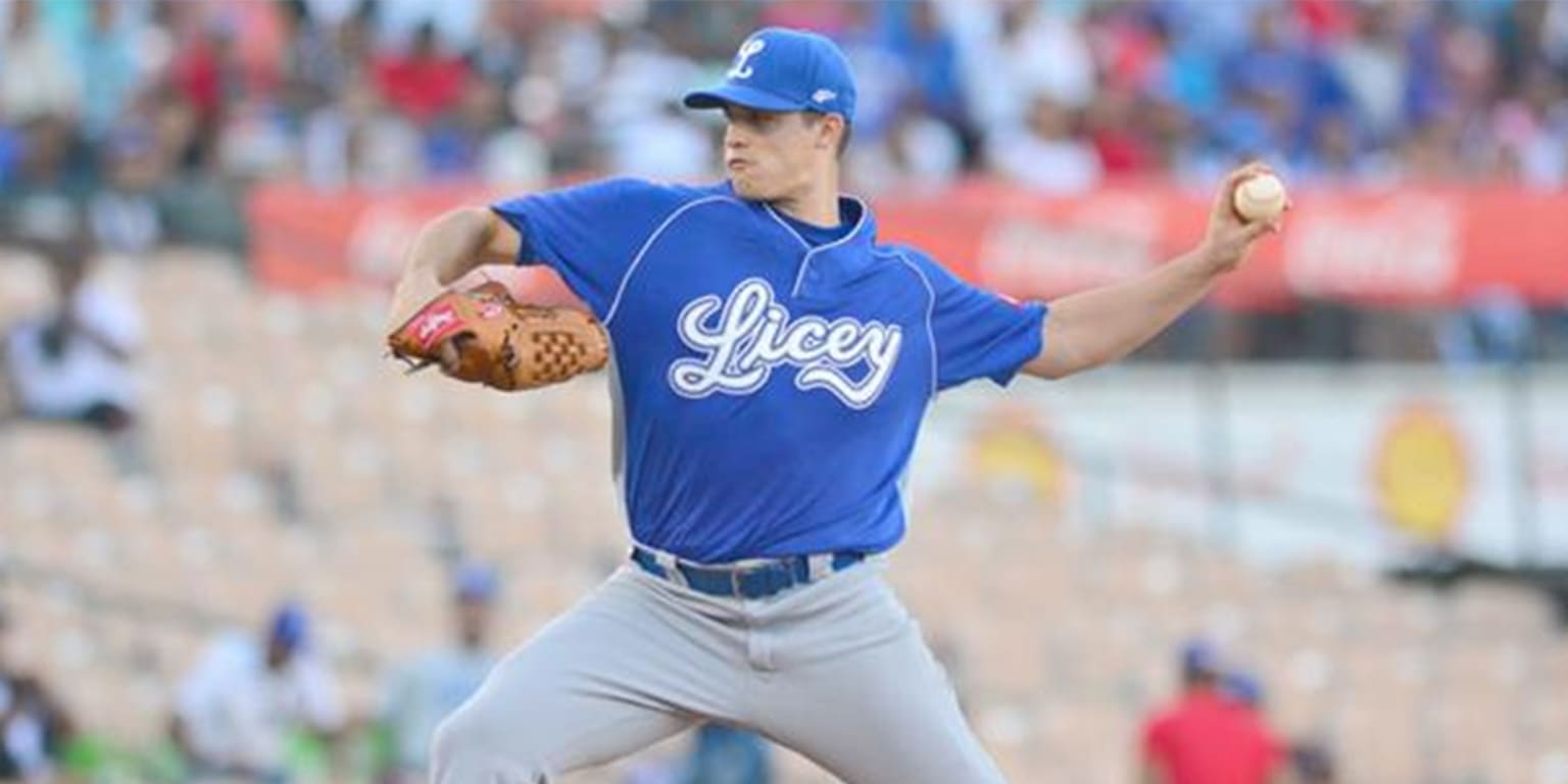 Los Tigres De Licey Consiguen Su Boleto A Playoffs En Dominicana